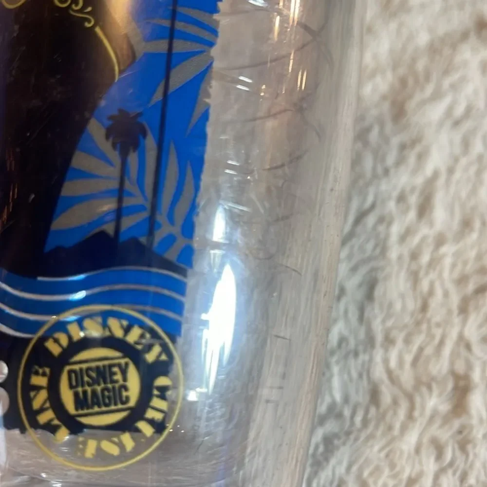 Disney cruise line 2016 tervis 16 ounce Tumbler